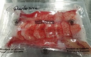 Lobster-meat-claw-knuckle-tail__