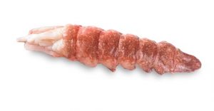 canadian-lobster-meat
