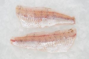 pike-perch-homepage-1024×683